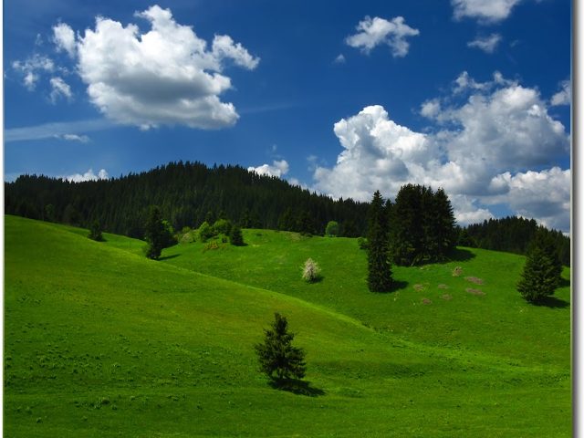 Роженски поляни